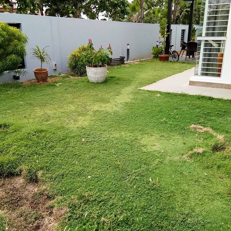 jardin cesped sintetico casa