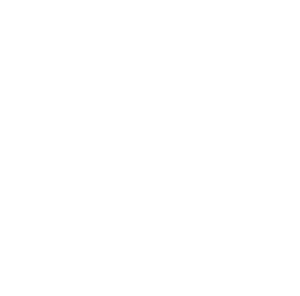 Logo Jardines Verticales Artificiales